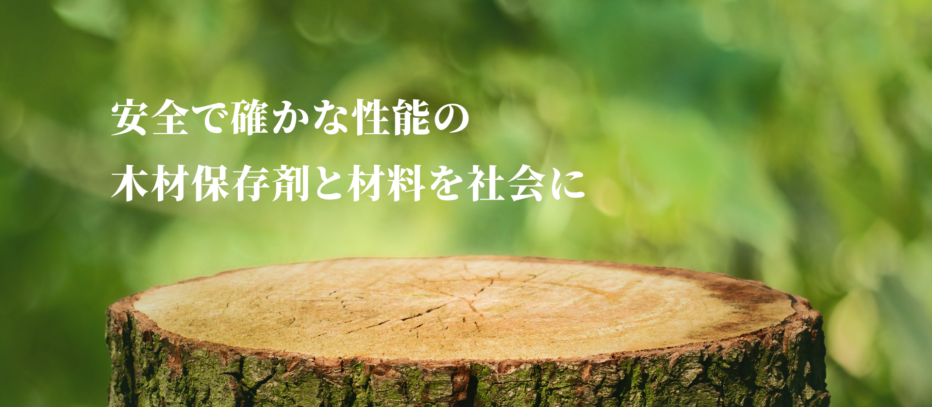 木材保存剤等審査会